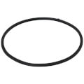 Door Gasket, 100208093