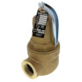 Apollo Valves 1060415 3/4" RVW60 1,686,000 BTU Capacity, Bronze Relief Valve, 75 psi