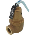 Apollo Valves 1060434 3/4" RVW60 3,116,000 BTU Capacity, Bronze Relief Valve, 150 psi
