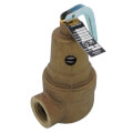Apollo Valves 1060515 1" FNPT RVW60 2,728,000 BTU Bronze Hot Water Relief Valve, 75 PSIG