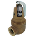 Apollo Valves 1060534 1" FNPT RVW60 5,044,000 BTU Bronze Hot Water Relief Valve (150 psi)