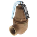 Apollo Valves 1061609 1-1/4" FNPT x 1-1/2" FNPT RVW61 3,656,000 BTU Bronze Hot Water Relief Valve (45 psi)
