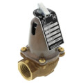 Bell & Gossett 110123 790-45, 1,065,000 BTU Capacity Relief Valve