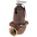 Bell & Gossett 110125 790-75, 1,615,000 BTU Capacity Relief Valve