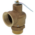 Apollo Valves 1220508 2" MNPT x 2" FNPT RVS12 2,500 LBS/HR Capacity Low Pressure Relief Valve (15 psi)