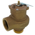 Apollo Valves 1420508 2" MNPT x 2" FNPT RVS14 3150 BTU High Capacity Low Pressure Steam Safety Valve (15 psi)
