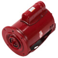 Bell & Gossett 169228 Ball Bearing Motor, 1/2 HP (PD-35S, Series 60)