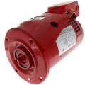 Bell & Gossett 169231 Ball Bearing Motor, 3/4 HP (PD-37T, Series 60)