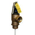 Apollo Valves 18C5115150 3/4" MNPT Commercial ASME T&P Relief Valve (5" Element, 150 psi)