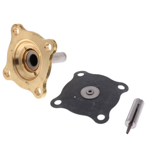 Asco 302277 Replacement Solenoid Valve Repair Kit