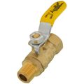 Apollo Valves 94MBV02 1/4" FNPT x MNPT Full Port Mini Ball Valve