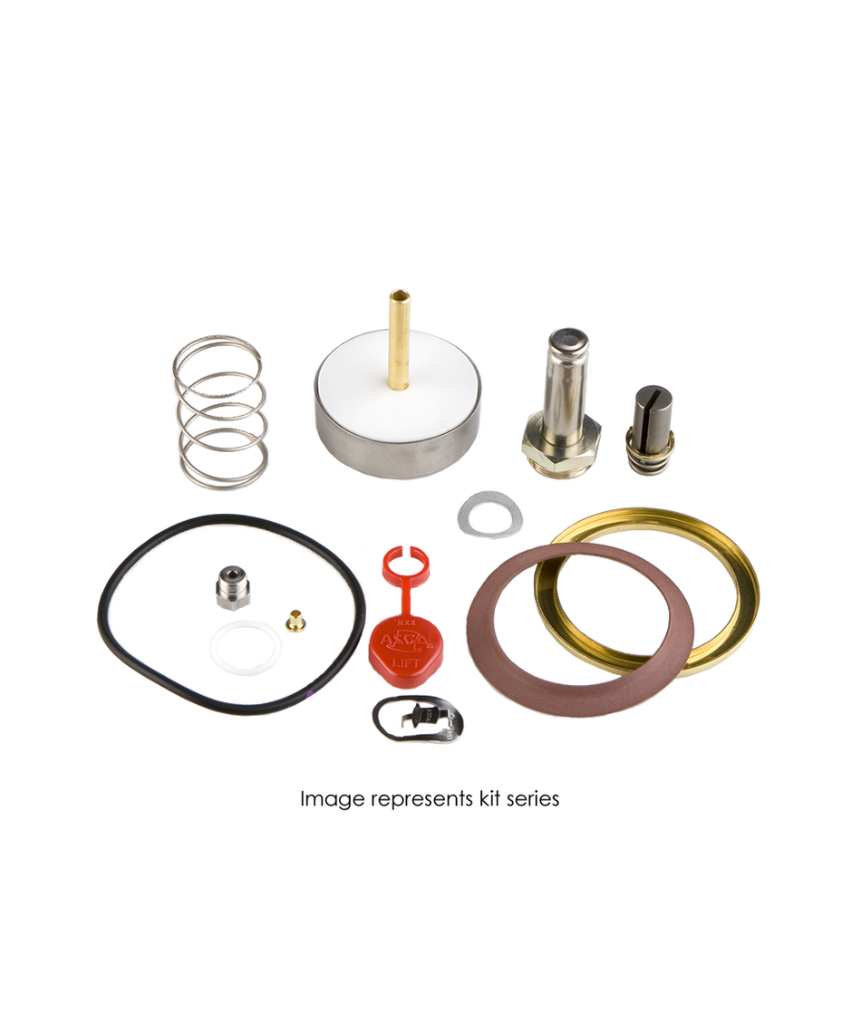 ASCO 304-393 Solenoid Valve Rebuild Kit for 8220 Series